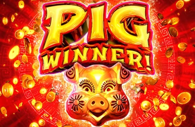 Pig Winner