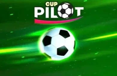 Pilot Cup