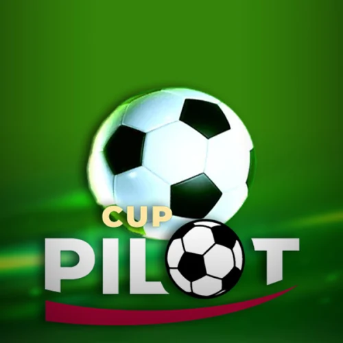 Pilot Cup