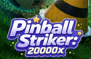 Pinball Striker 20000x