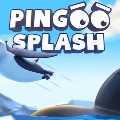 Pingoo Splash