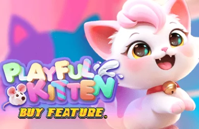 Playful Kitten Buy Feature