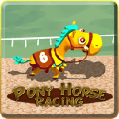 Pony Horse Racing