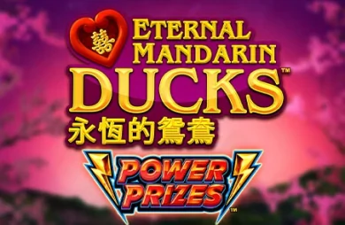 Power Prizes Eternal Mandarin Ducks