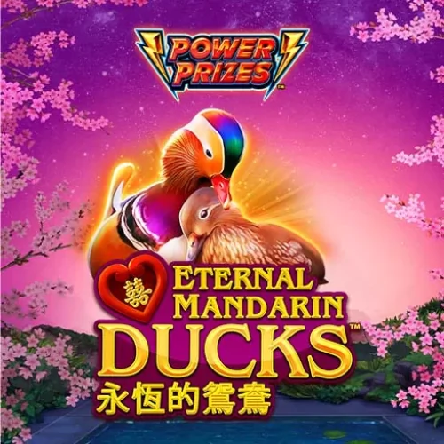 Power Prizes Eternal Mandarin Ducks
