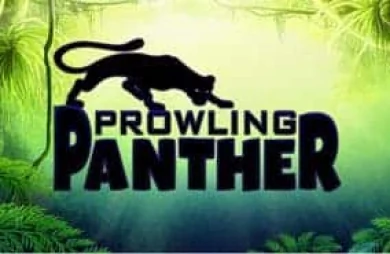 Prowling Panther