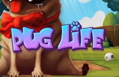 Pug Life