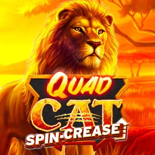 Quad Cat