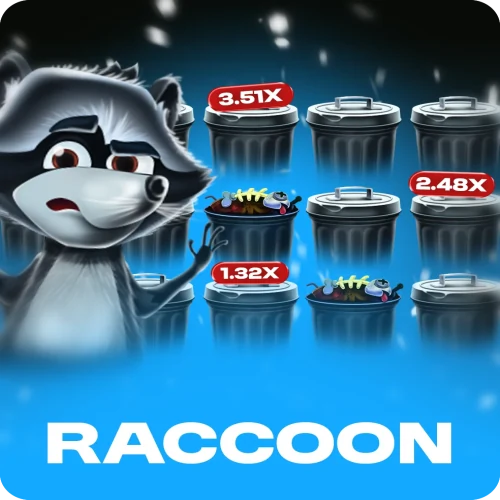 Raccoon