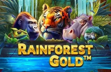 Rainforest Gold