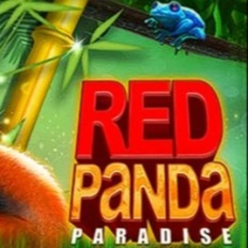 Red panda paradise
