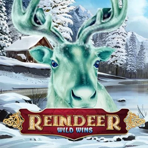 Reindeer Wild Wins XL