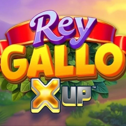 Rey Gallo X UP