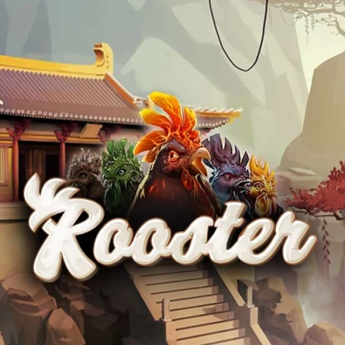 Rooster