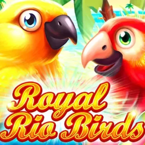 Royal Rio Birds