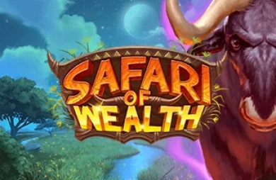 Safari of Wealth