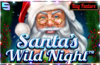 Santa's Wild Night