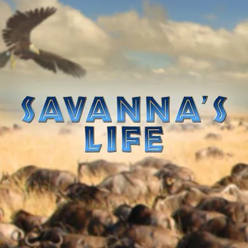 Savanna's Life
