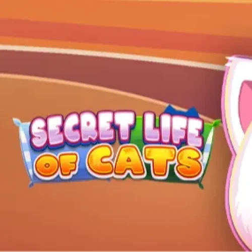Secret Life of Cats