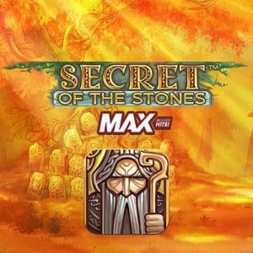 Secret of the Stones MAX