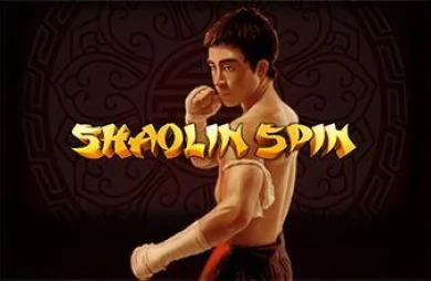 Shaolin Spin
