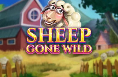 Sheep Gone Wild