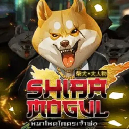 Shiba Mogul