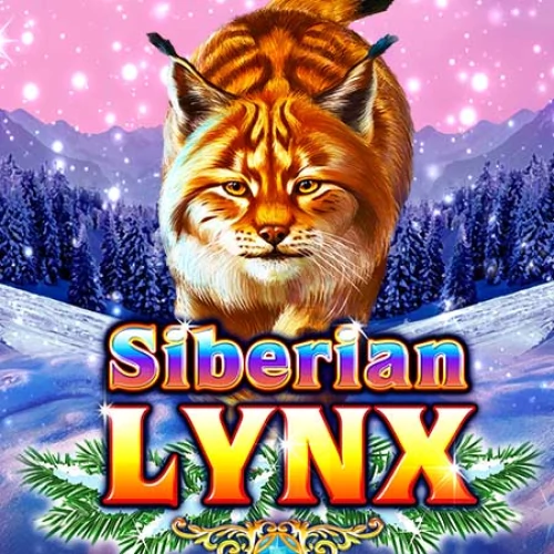 Siberian Lynx
