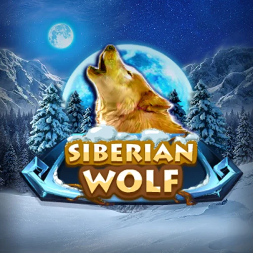 Siberian Wolf