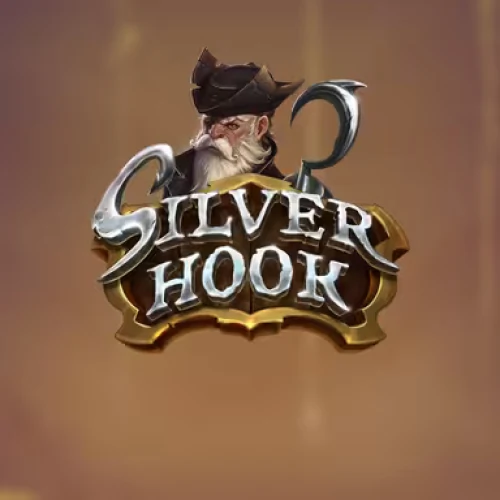 Silver Hook