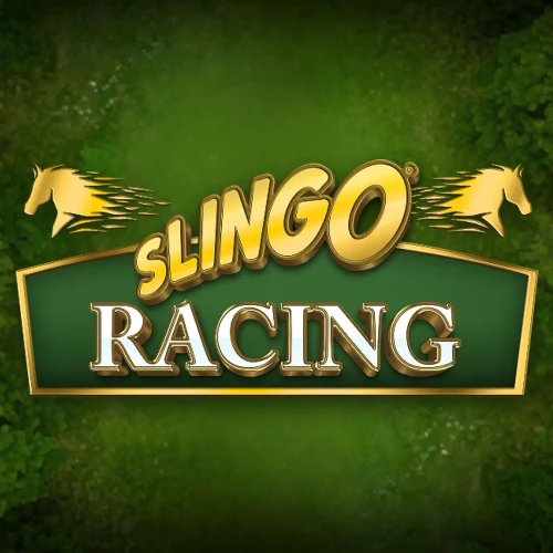 Slingo Racing