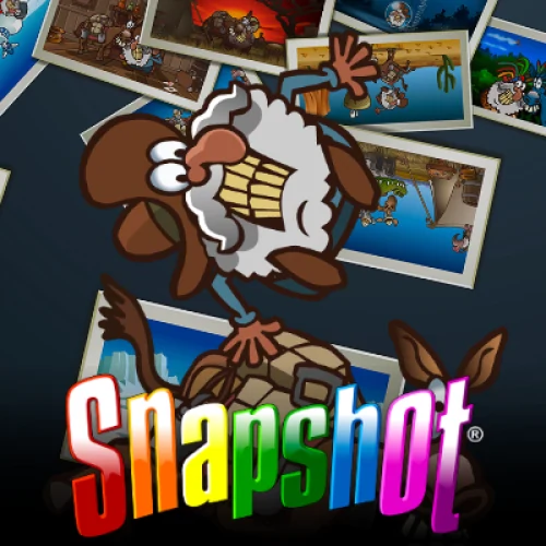 Snapshot