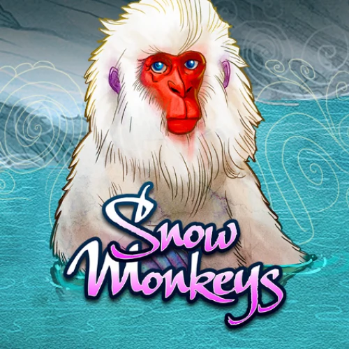 Snow Monkeys