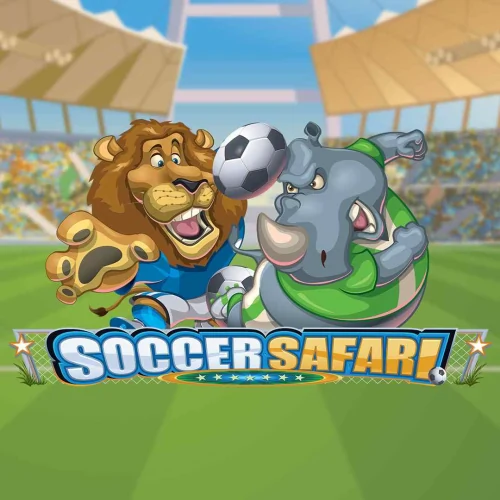 Soccer Safari
