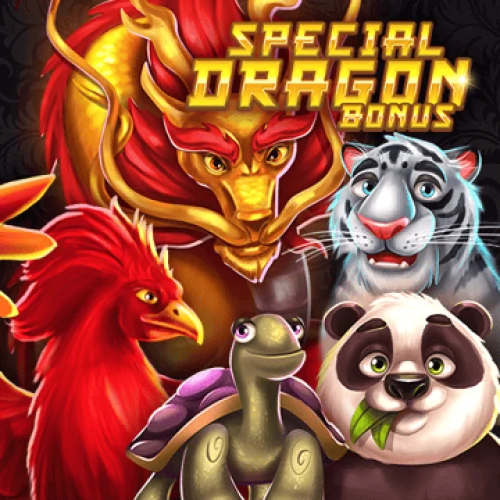 Special Dragon Bonus