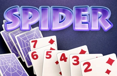 Spider