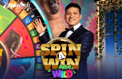 Spin A Win Wild