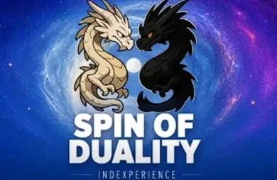 Spin Of Duality