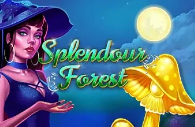 Splendour Forest