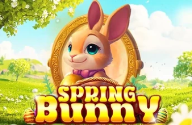 Spring Bunny