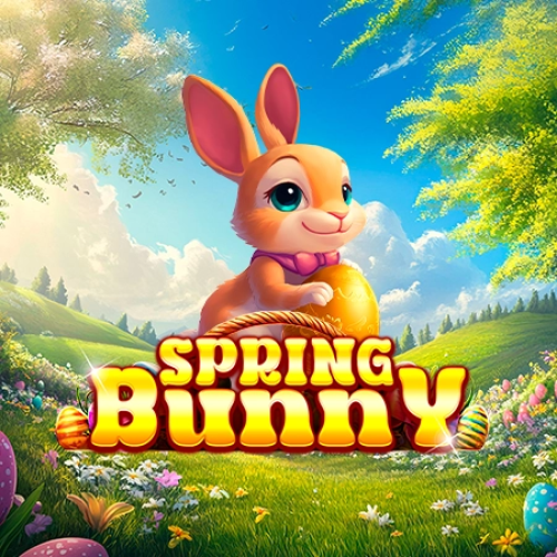 Spring Bunny
