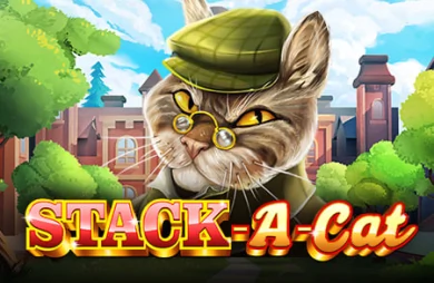 Stack A Cat