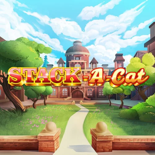 Stack A Cat