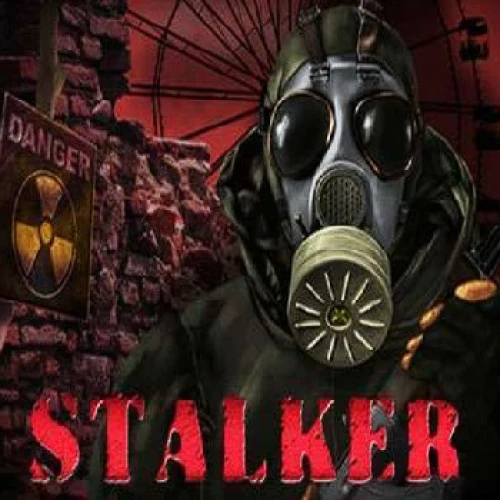 Stalker's Diary
