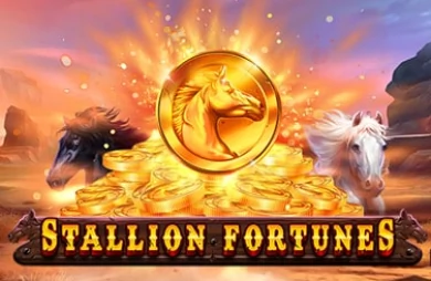 Stallion Fortunes