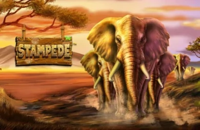 Stampede (Betsoft)