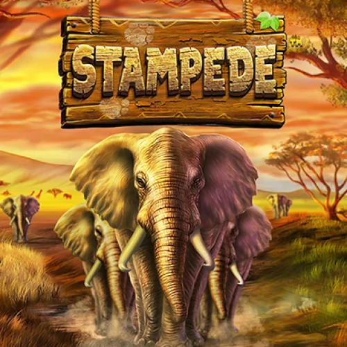 Stampede (Betsoft)
