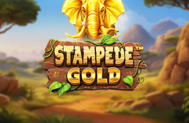 Stampede Gold