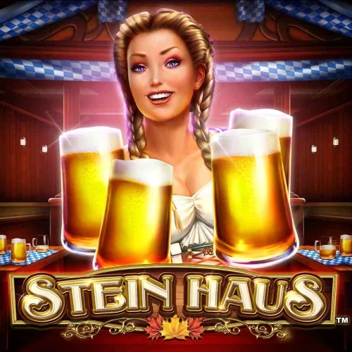 Stein Haus