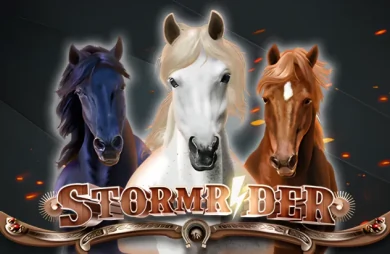 Storm Rider